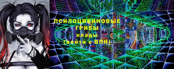 гашик Балабаново