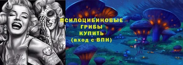бошки Балахна