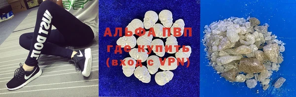 прущие грибы Белоозёрский