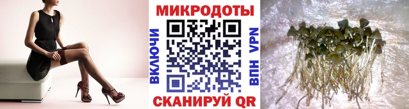 Псилоцибиновые грибы мухоморы  Луховицы 